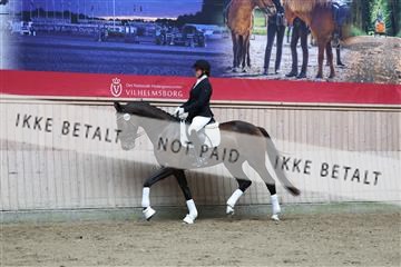 181887_mtp_02_R62_7557.JPG