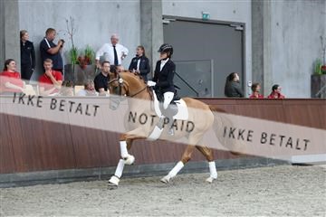 181852_mtp_04_R62_2720.JPG