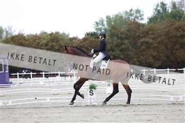 181923_mtp_01_R62_6258.JPG