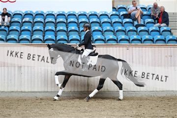 181887_mtp_02_R62_7671.JPG