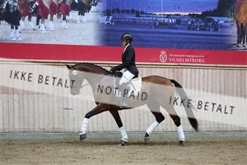 181887_mtp_01_R62_6969.JPG