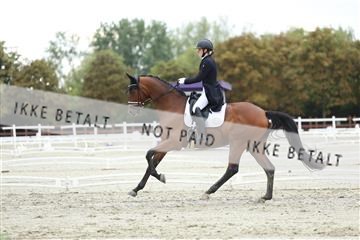 181923_mtp_04_R62_9165.JPG