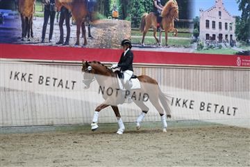 181887_mtp_02_R62_7780.JPG