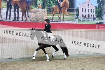 181887_mtp_04_R62_9254.JPG