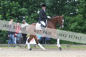 135518_ms_01_IMG_0837.JPG