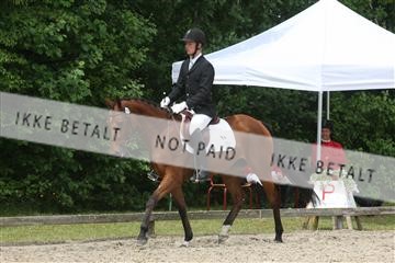 135518_ms_01_IMG_1463.JPG