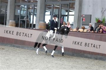 181852_mtp_04_R62_2589.JPG