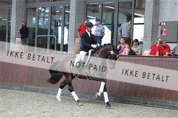 181852_mtp_05_R62_3222.JPG