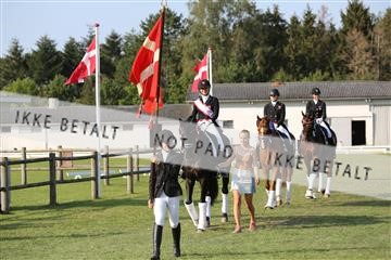 163526_mlm_02_IMG_3233.JPG