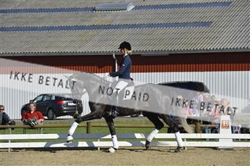 136195_abo_01__AB16596.JPG