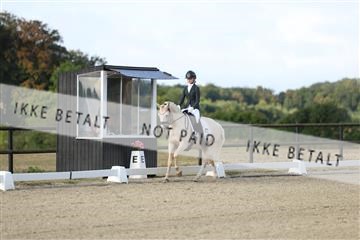 181894_mtp_04_R62_3128.JPG