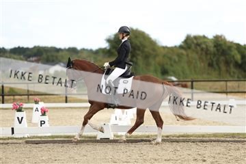 181894_mtp_03_R62_2634.JPG