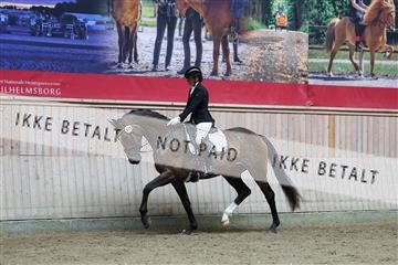 181887_mtp_02_R62_7546.JPG