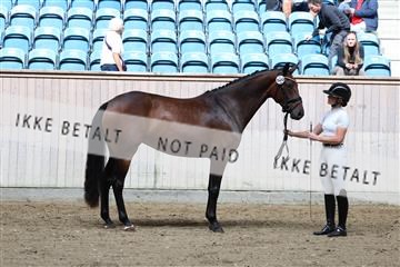 181887_mtp_02_R62_7500.JPG