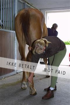1257_04_100-0003_IMG.JPG