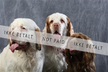 129608_le_ 01_0713.JPG