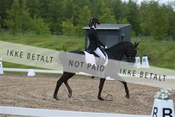 147698_nn_01_IMG_8752.JPG