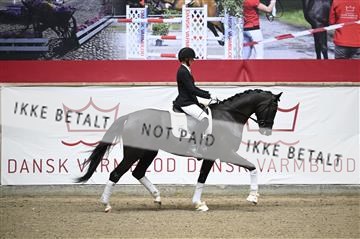 181957_kbb_02_Z099442.JPG