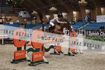 175934_avh_02_7651.JPG