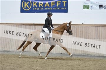 160111_nn_01__ESK1686.JPG