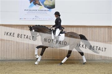 160111_nn_01__ESK1545.JPG