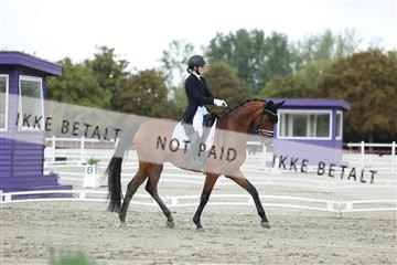 181923_mtp_04_R62_9144.JPG