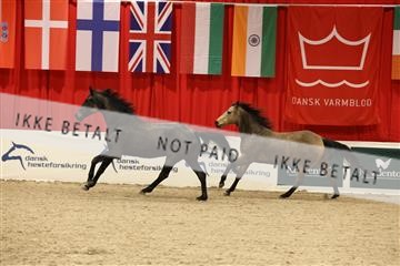 178838_mtp_04_0E6A5076.JPG