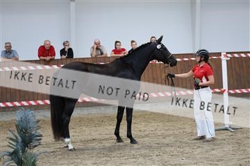 181755_tbj_01R62_2525.JPG