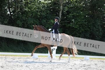 172073_mtp_01_3M5A4795.JPG