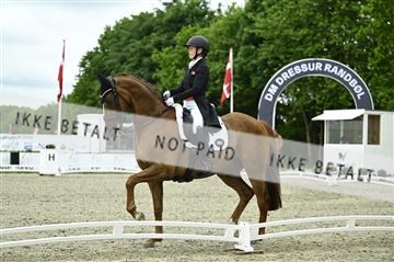 181449_kbb_03_Z091938.JPG