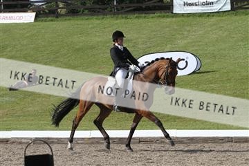 135676_sg_03_IMG_9895.JPG