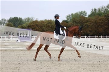181923_mtp_01_R62_6188.JPG