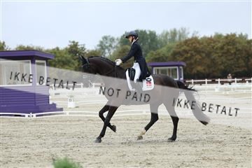 181923_mtp_03_R62_7860.JPG