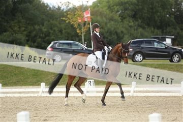 148862_sg_01_IMG_3280.JPG