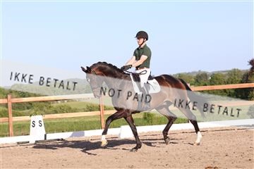 181449_bc_01R62_6447.JPG
