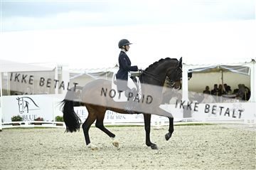 181449_kbb_03_Z091744.JPG