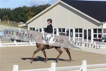 148862_sg_01_IMG_2837.JPG
