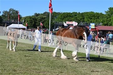 174726_jbr_01_JBR_3814.JPG