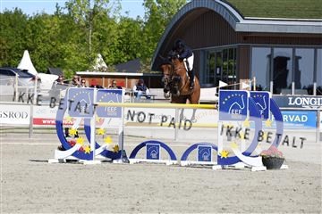 181436_avh_02_3593.JPG