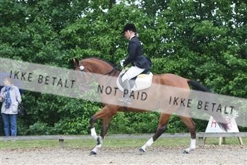 135518_ms_01_IMG_0889.JPG
