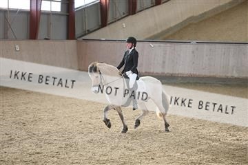 173782_mtp_01_3M5A7009.JPG