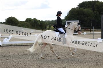 181894_mtp_02_R62_1056.JPG