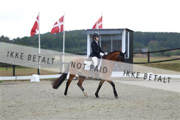 181894_mtp_05_R62_4169.JPG