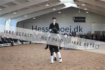 179022_kbb_01_R6II2602.JPG