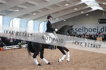 179022_kbb_01_R6II2625.JPG