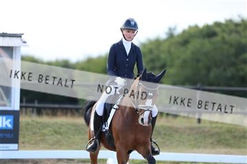181894_mtp_05_R62_5244.JPG