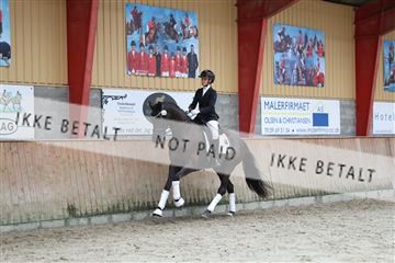 181867_mtp_02_R62_4877.JPG