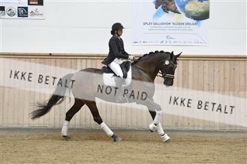 160111_nn_01__ESK1542.JPG