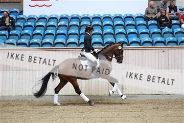 181887_mtp_04_R62_8347.JPG