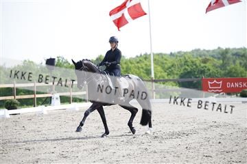 181449_kbb_02_6II1151.JPG